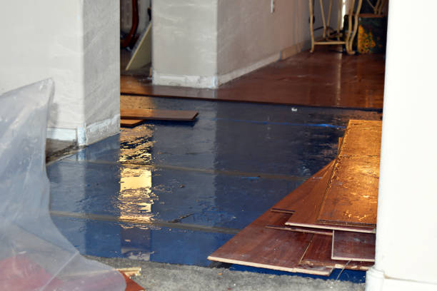 Professional Crawl Space Water Removal technician working in New Canaan, CT